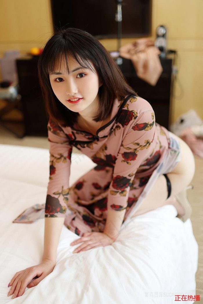 免费观看剧的软件